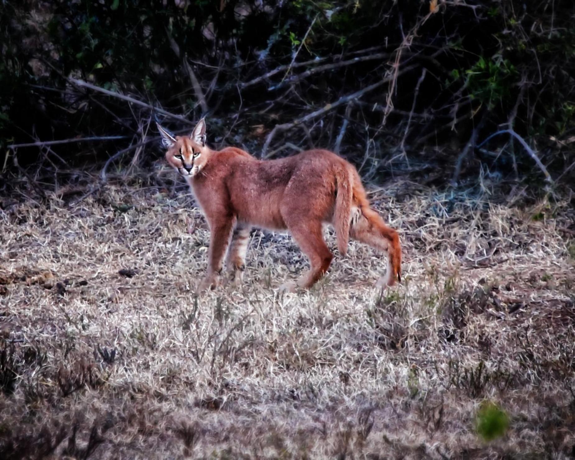 Riverbend Lodge Addo Exteriér fotografie