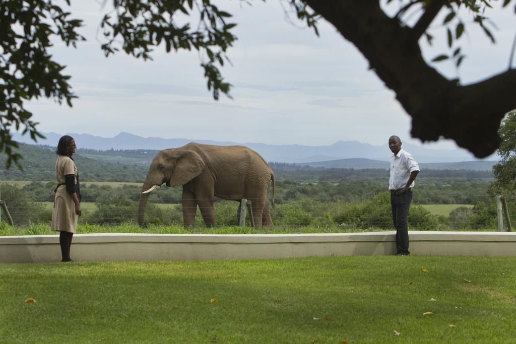 Riverbend Lodge Addo Exteriér fotografie